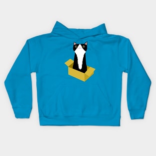 Cat in Box Kids Hoodie